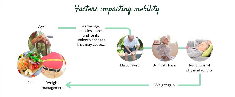 Factors-impacting-mobility
