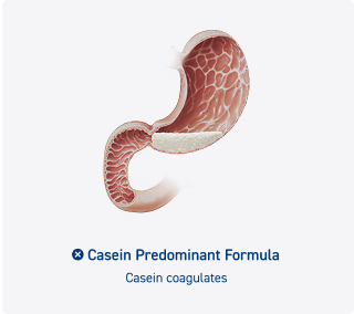 Casein Predominant Formula