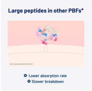 Large Peptides