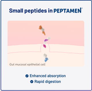 Small Peptides