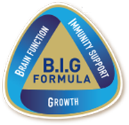 BIG-logo