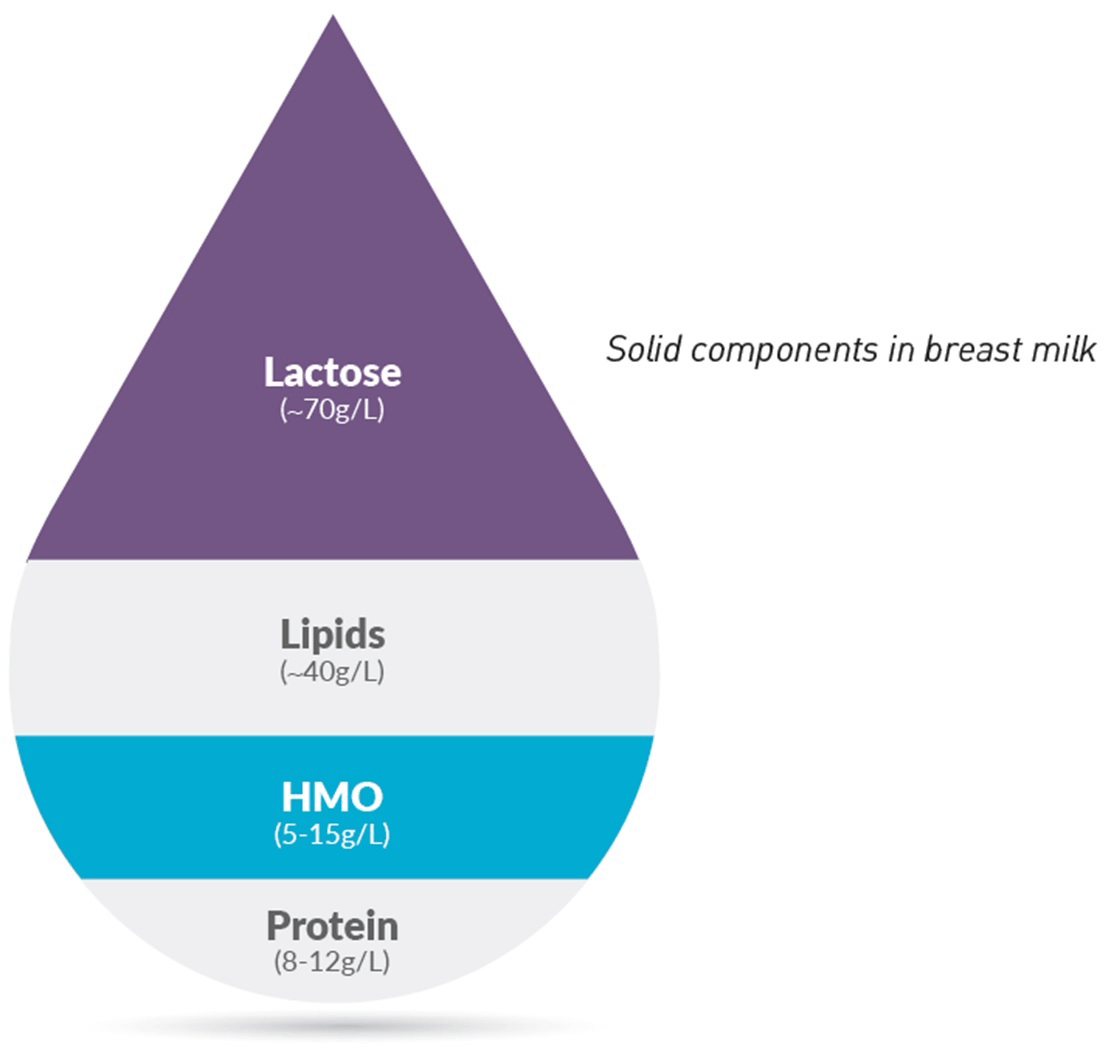 Breastmilk components