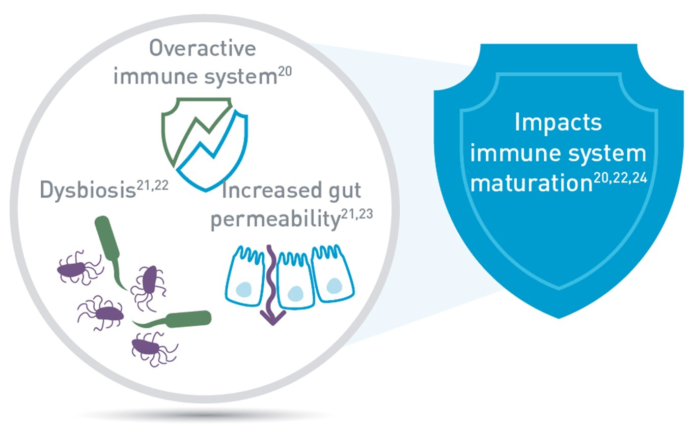 Immune system