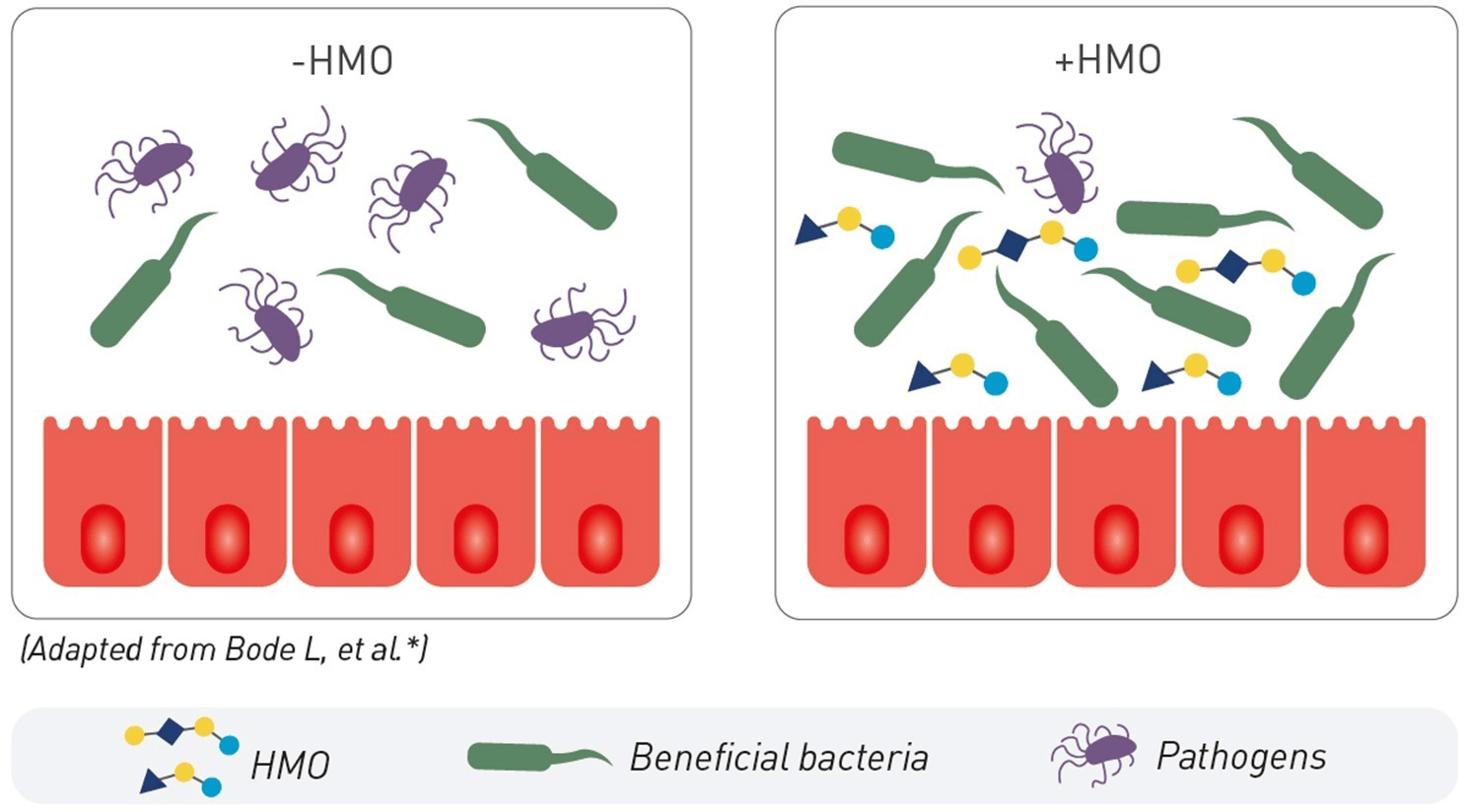 Microbiome