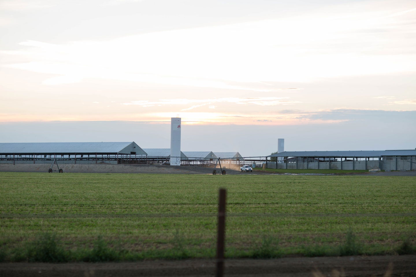 Behind the scenes at a farm in the U.S. that’s using climate smart farming prac…