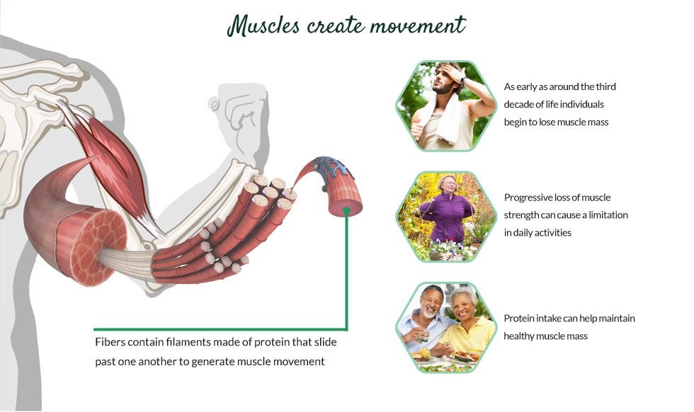 Maintaining Mobility As Part Of Healthy Aging Nestle Health Science